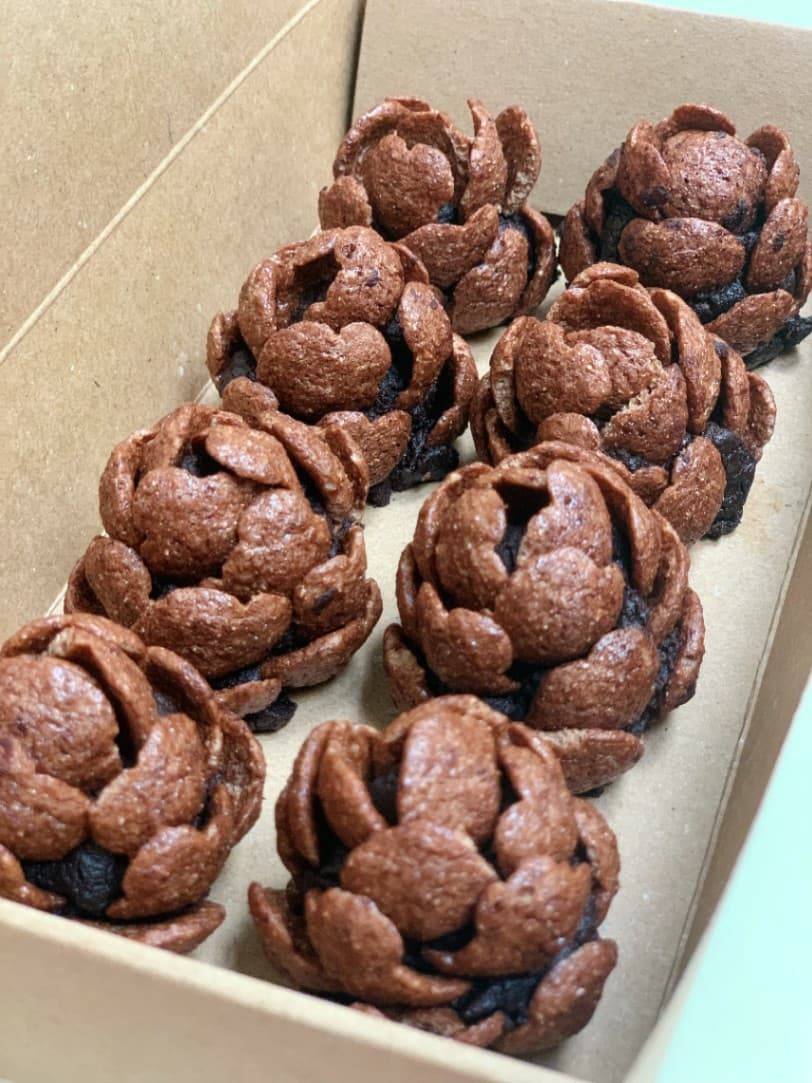 Pinecone Brownies by SkinnyTofu.Co